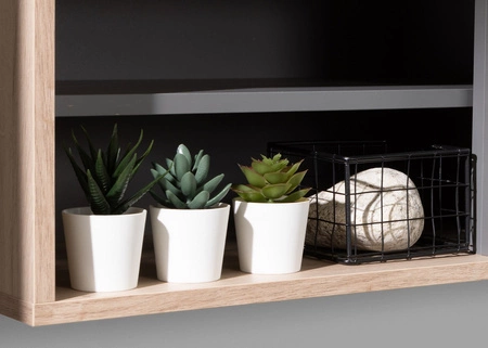 Couchtisch Estan Eiche estana hell / anthrazit modernes Design auslaufsichere Platte