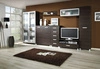 Regal Maximus 100 cm Kastanie Wenge Modernes Möbeldesign Hochwertige Verarbeitung Regaleinfassung mit Spezialfurnier