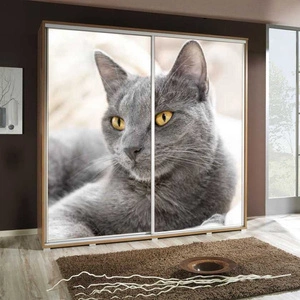 Artistino 205 cm Schiebeschrank mit Katzenaugengrafik Schrankkorpus in Eiche Catania aus 22 mm starker Platte