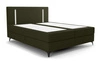 Boxspringbett Norco 180x200 grün stilvolles Bett mit Aufbewahrungsbox Beleuchtung im Kopfteil fügt eine einzigartige Note