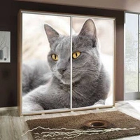 katze