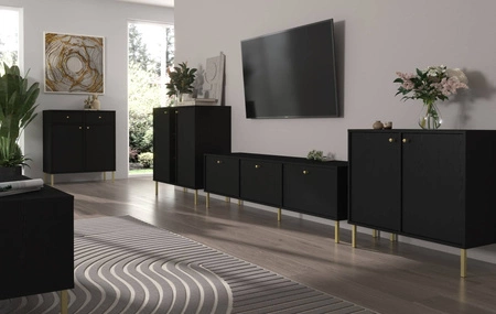 Kioto II Kommode 100 cm schwarz graphit modernes Design praktische Einlegeböden goldene Griffe stabile Metallbeine