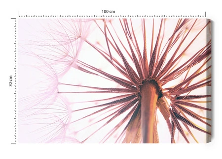 Leinwandgemälde Kugelfischsamen 100x70 cm zeitlose Dekoration jedes Interieurs Gemälde in kräftigen Farben hochwertige Verarbeitung