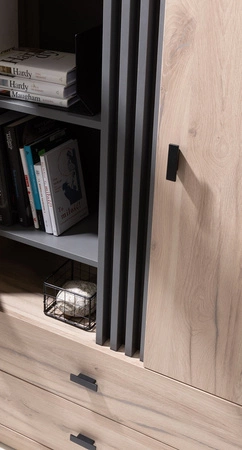 TV Schrank Estan 125 cm Eiche estan hell / anthrazit modernes Möbeldesign hochwertige Verarbeitung Kanten des Bücherregals mit einem speziellen Furnier versehen