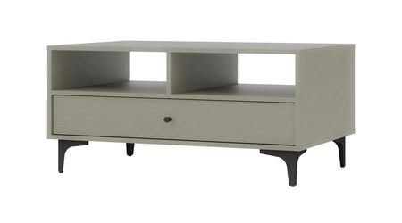 Wohnzimmermöbel-Set Kioto I Eukalyptus stilvolles Design elegante Möbel in gedeckten Farben mit schwarzen Accessoires angereichert