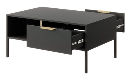 Golden Möbelset anthrazit modernes Design Schrankwand für Wohnzimmer oder Sitzungssaal Goldkante Griff