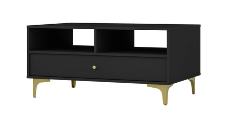 Wohnzimmer-Möbel-Set Kioto I schwarz Graphit stilvolles Design elegante Möbel auf einem Metall goldenen Basis subtilen Griffe unterstützt