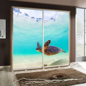 Artistino 205 cm Schiebeschrank mit Schildkrötengrafik Schrankkorpus in Eiche catania aus 22 mm starker Platte