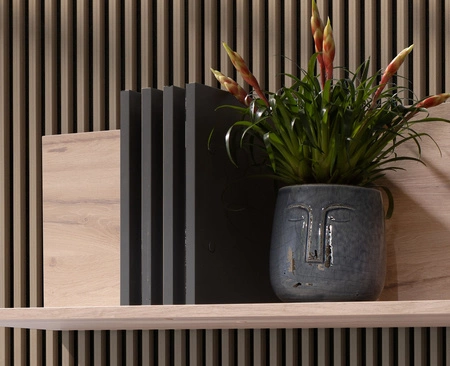 Regal Estan 110 cm Eiche estan hell / anthrazit modernes Möbeldesign hochwertige Regalkante mit Spezialfurnier verarbeitet