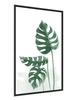 Monstera Blätter Poster 70x100 gerahmt Druck mit stilvollen Grafiken perfekte Dekoration für Wohnzimmer oder Schlafzimmer