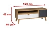 RTV-Schrank Memone 120 cm Eiche gold / weiß / graphit stilvoller TV-Schrank ideal für ein Jugendzimmer im skandinavischen Stil